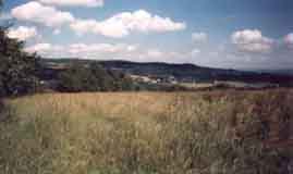 Obrzek: Psaov - pohled obc dol